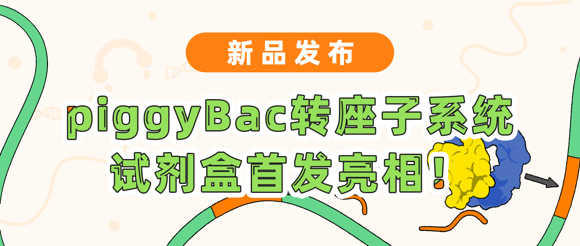 新品发布| 球盟会生物基因piggyBac转座子系统试剂盒首发亮相！极速转座，千元不到体验高效基因递送！
