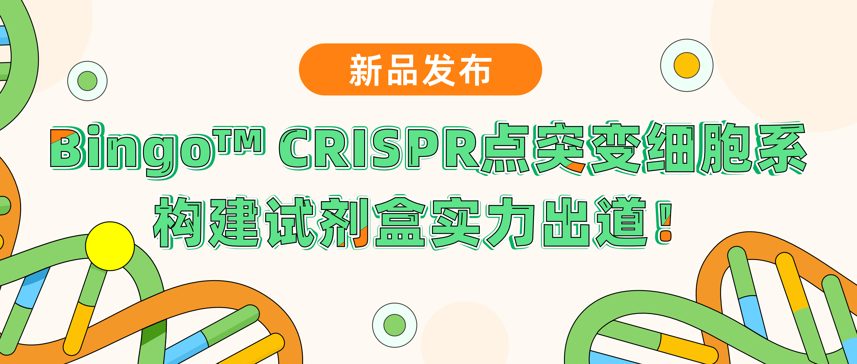 新品发布| 球盟会生物基因Bingo™ CRISPR点突变细胞系构建试剂盒实力“出道”！升级PE技术，高效编辑，快人一步享受极致命中率